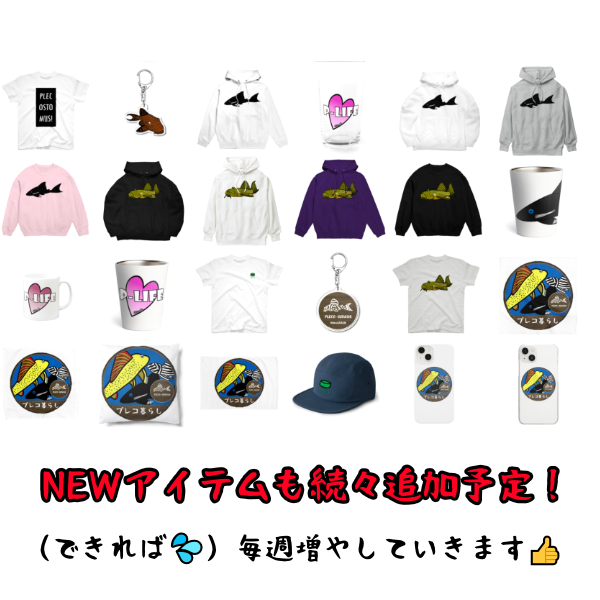 あけおめ＆プレコグッズショップフルオープン！の記事画像