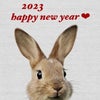 ★2023 happy new yearの画像