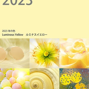 2023年の注目カラー【JAFCA編】の画像