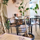 【カフェ 大分】いちごパフェ！｜佐伯市のcafe MARY.さんはオシャレなさんかく屋根が目印♪の記事より