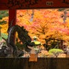 河口湖(後編) 北口本宮冨士浅間神社、ハーブ館＆大池公園の画像