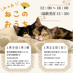 画像 ▶明日1/22(日)江戸川橋で猫譲渡会 の記事より 2つ目