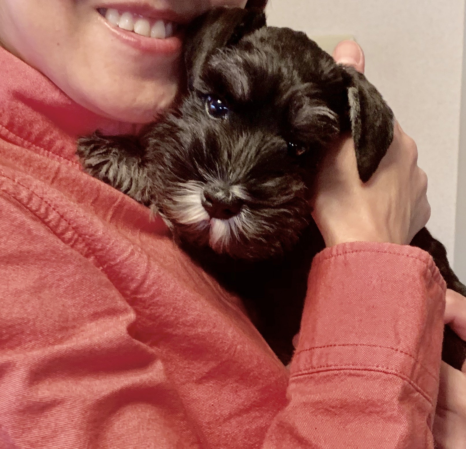 犬のほんとうの気持ち しぐさと表情ですべてわかる! これでワンちゃん