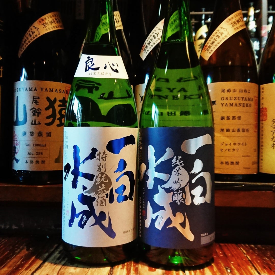 全日本送料無料 新政 創業170周年記念酒 alc.8% 亜麻猫スパーク 
