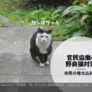 行政限定・飼い主のいない猫問題勉強会　③の画像