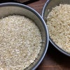 米麹、失敗したときの使いみち【米麹作りオンライン講座】の画像