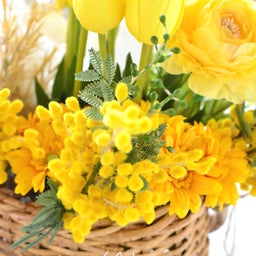 画像 黄色いお花たち、入荷しています♬ の記事より 2つ目
