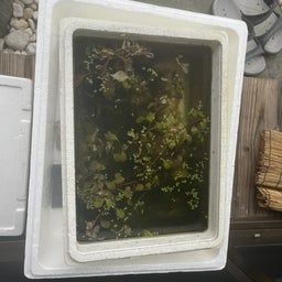 画像 今季最強寒波が来るって知ってる？ の記事より 2つ目