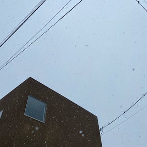 【大雪】台風でも止まらない南海電車が止まった夜の画像