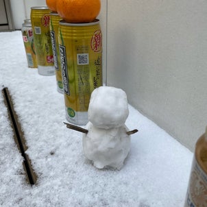 雪に慣れていない九州は大混乱、、、サプリのPRの画像