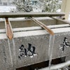 今年の福井市の雪の画像