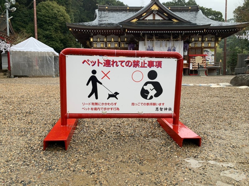 大阪　ペットと参拝できる　犬OK　神社　image