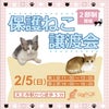 【今日は保護猫譲渡会♪ in 天王寺】&参加ねこおさらいの画像