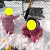 【活動記録】雪遊びor粘土遊びの画像