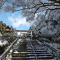 日向大神宮・下鴨神社　雪景色