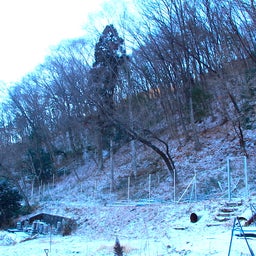 画像 里山の初雪。 の記事より 2つ目