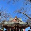 杏散歩♪　布施弁天・櫻木神社・久伊豆神社の画像