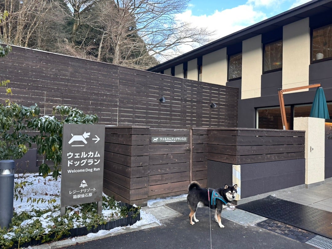 何をするわけでもない、箱根2日目 | 続☆いち姫二太郎いちかーちゃん（旧 犬3匹と女一人で住む家を建てる！！）