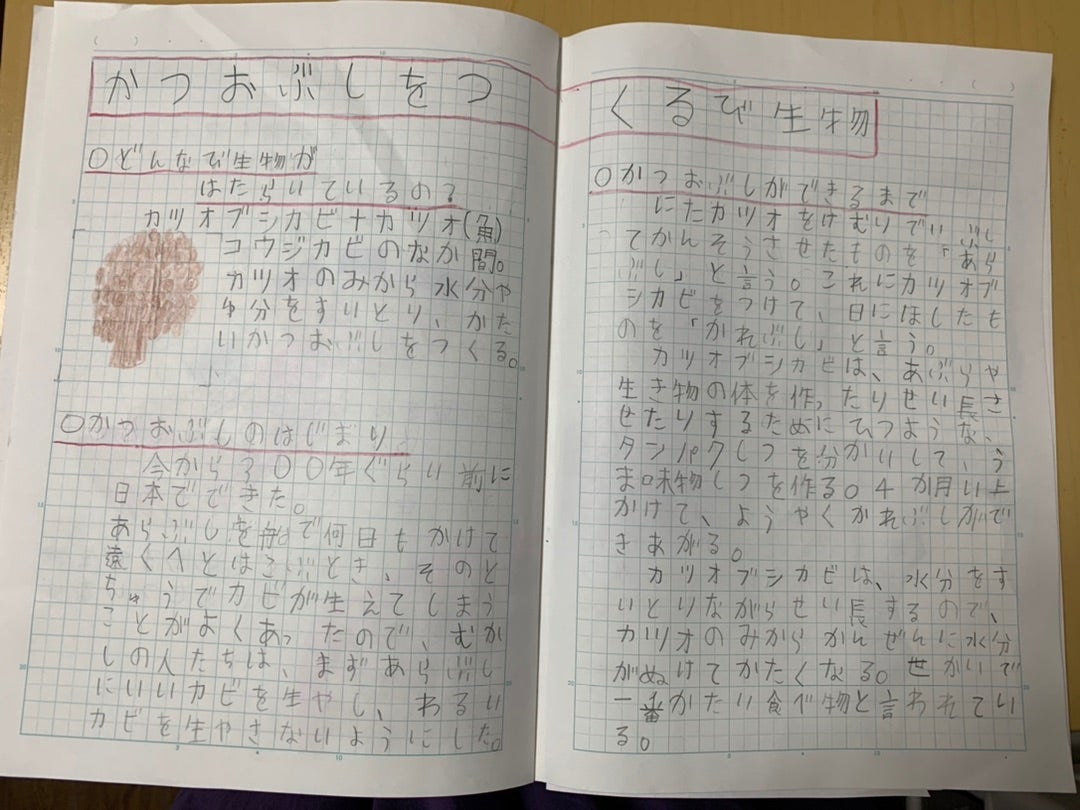 白百合学園小学校の偏差値・倍率などの難易度や知っておきたい