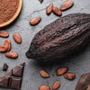 【チョコレート】カカオ豆からチョコレートができるまでの画像