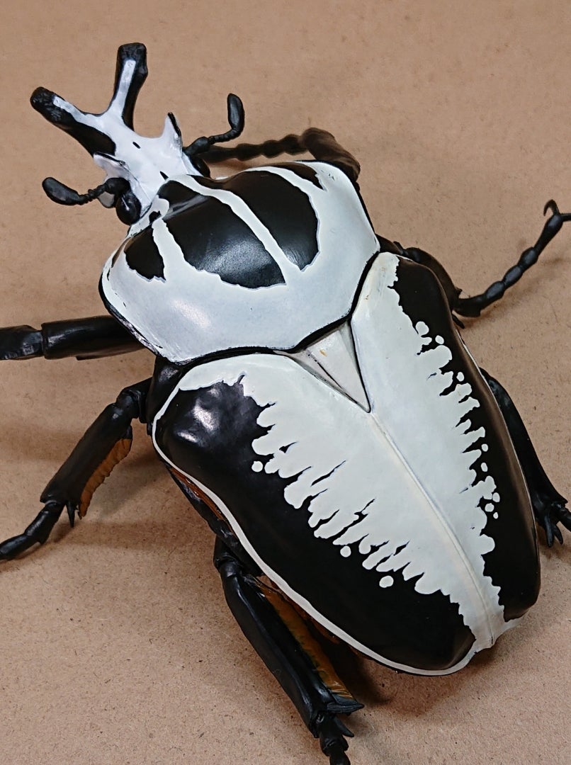 SO-TA 1/1 ゴライアスオオツノハナムグリ☆~その③~ | さもの SO-TA 1/1 ゴライアスオオツノハナムグリ☆~その③~ | さもの