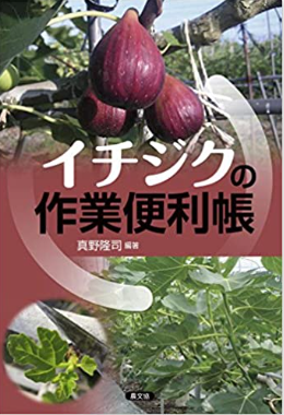 イチジクの穂木が届きました | 元植木屋の庭仕事 イチジクの穂木が届きました | 元植木屋の庭仕事