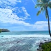 ハワイ島へ行って来ました♡の画像