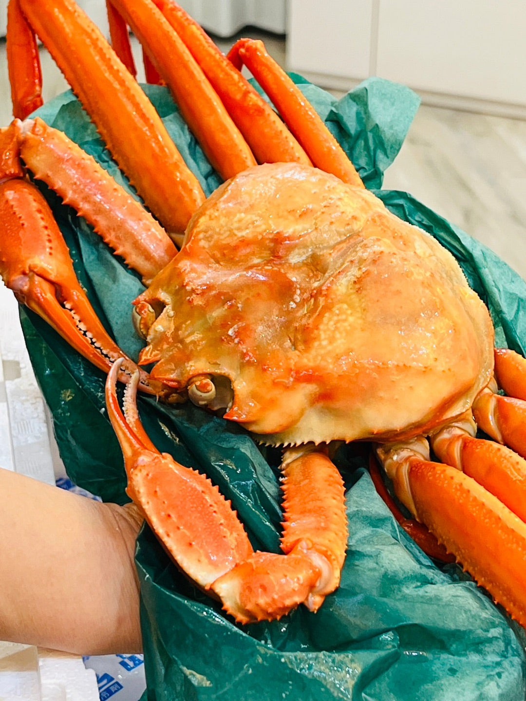 福井県越前町Instagramキャンペーン」獲れたて浜茹で紅ずわい蟹が当選！ 戦略買物日記