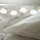 寝付きが悪い、眠れない方必読！原因は あなたの○かもの記事より
