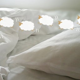 画像 寝付きが悪い、眠れない方必読！原因はあなたの○かも の記事より 3つ目