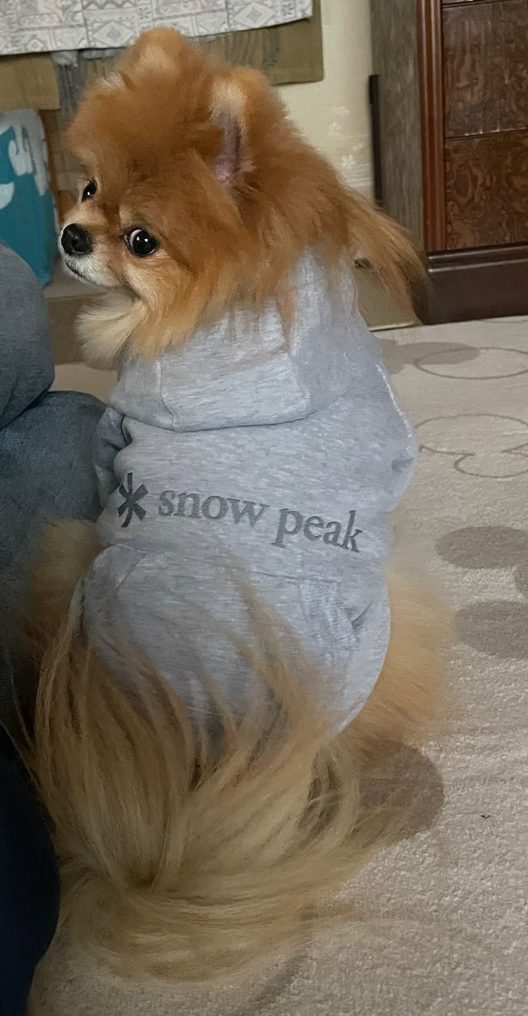 スノーピーク SP Dog Parka Grey 愛犬ポメラニアンのお洋服 SnowPeak