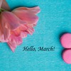 Hello March!!の画像