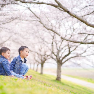 【3/28】五感で自然を楽しむ！桜フォト撮影会の画像