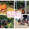 石本果樹園メディア情報の画像
