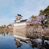 富山でのレッスンと名物の鱒寿司✨の画像