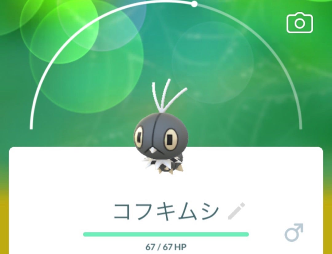 ポケモンGO♪コフキムシ❣️コフーライ❣️ビビヨン❣️(みやび ポケモンGO♪コフキムシ❣️コフーライ❣️ビビヨン❣️(みやび