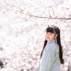 【開催終了】2023年桜撮影会♡の画像