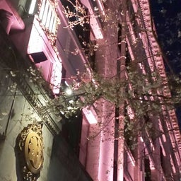 画像 2023桜追い♪日本橋の夜桜&菜の花と桃の花♪風呂敷ブログ継続5035日目 の記事より 8つ目