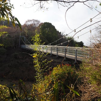生駒室池園地「吊り橋＆梅園」