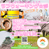 大阪城公園にて『ラフウォーキング☆彡』開催します(^^♪の画像