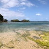 沖縄の海開きの画像