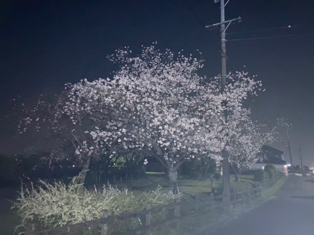 眠れないからの記事画像