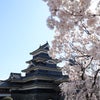 【桜満開】日本に5つしかない国宝のお城へ 9/100の画像