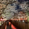 目黒川の桜とスタバの画像