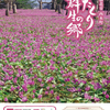 【仙北市】<お知らせ>仙北市で楽しめる春の美しい花々のイベント情報の画像