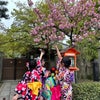 着物レンタル　京都観光！！の画像