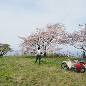 笠岡諸島・大飛島　桜ツーリング【後日まとめ】の画像