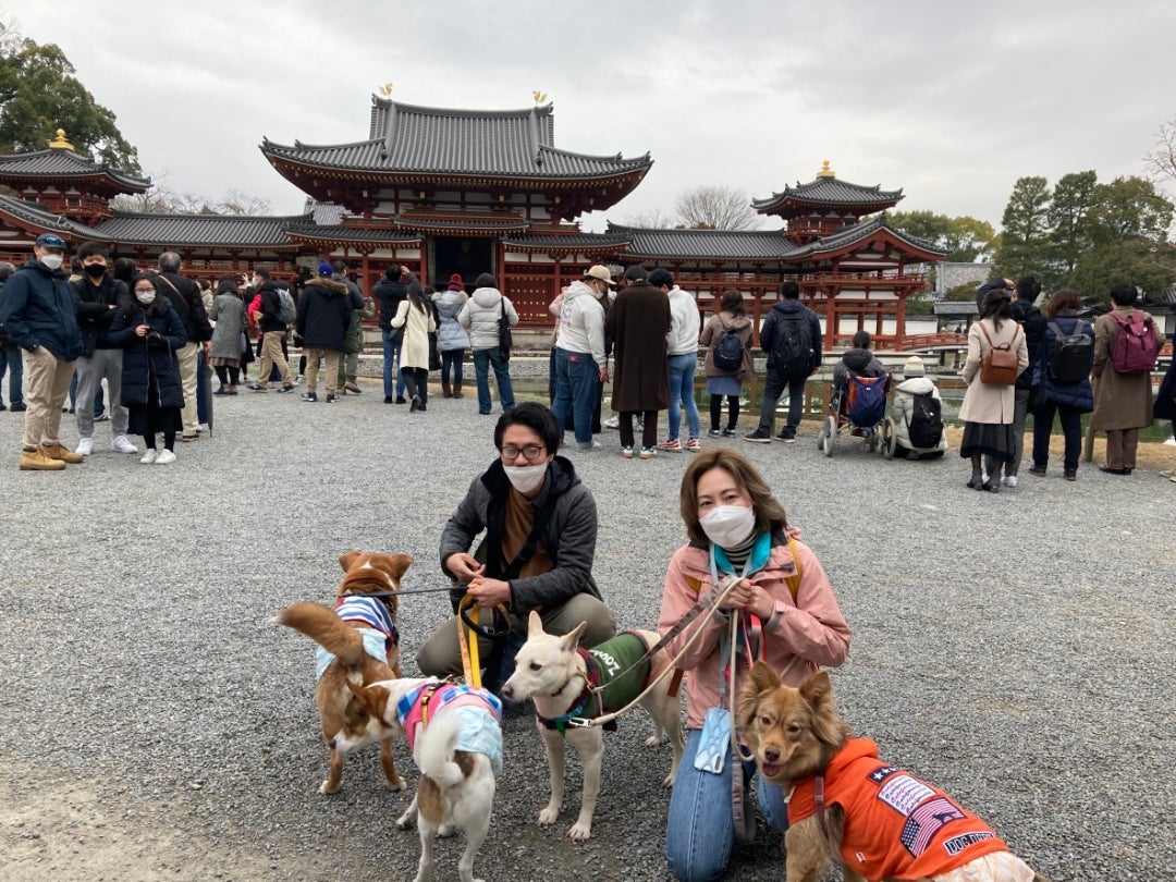 京都では犬と世界遺産平等院に犬と入れます！！！雨上がりは超狙い目✨ | 4匹の中型犬と30代夫婦の暮らし