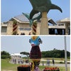 2023 沖縄旅行記　4の画像