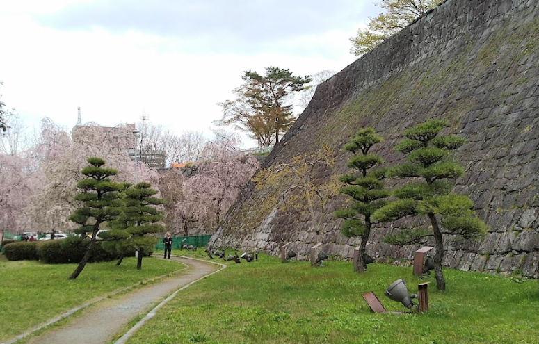 盛岡城跡公園の石垣と枝垂れ桜